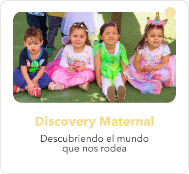discover maternal